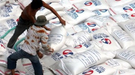 Giá gạo có thể tăng 10% trong những tháng cuối năm 2015