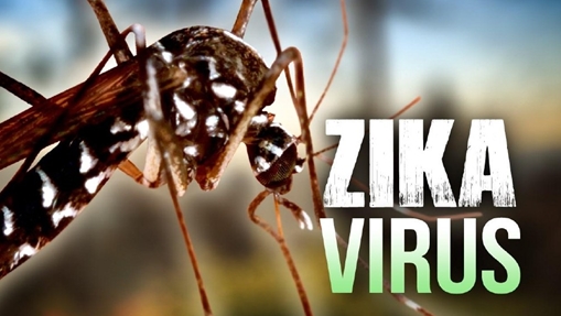 Tăng cường đối phó với dịch bệnh do virus Zika