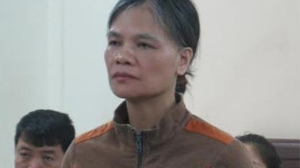 Dùng giấy tờ nhà đất giả, lừa vay tiền