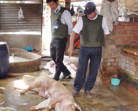 Đồng Nai tăng cường kiểm soát, ngăn chặn thịt bẩn ở trung tâm giết mổ lậu