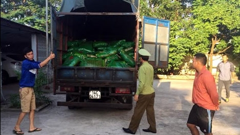 Phát hiện 3.000 kg thức ăn nuôi tôm không rõ nguồn gốc