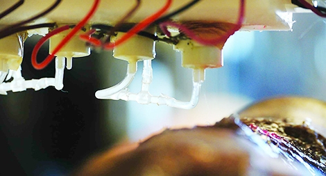 Công nghệ in 3D sinh học: Hy vọng cho việc cấy ghép tạng