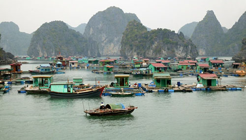 Xây dựng hồ sơ đề cử Vịnh Hạ Long mở rộng đến quần đảo Cát Bà là Di sản thế giới