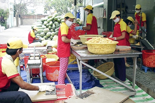 Phát triển kinh tế tư nhân trở thành một động lực quan trọng của nền kinh tế thị trường định hướng XHCN