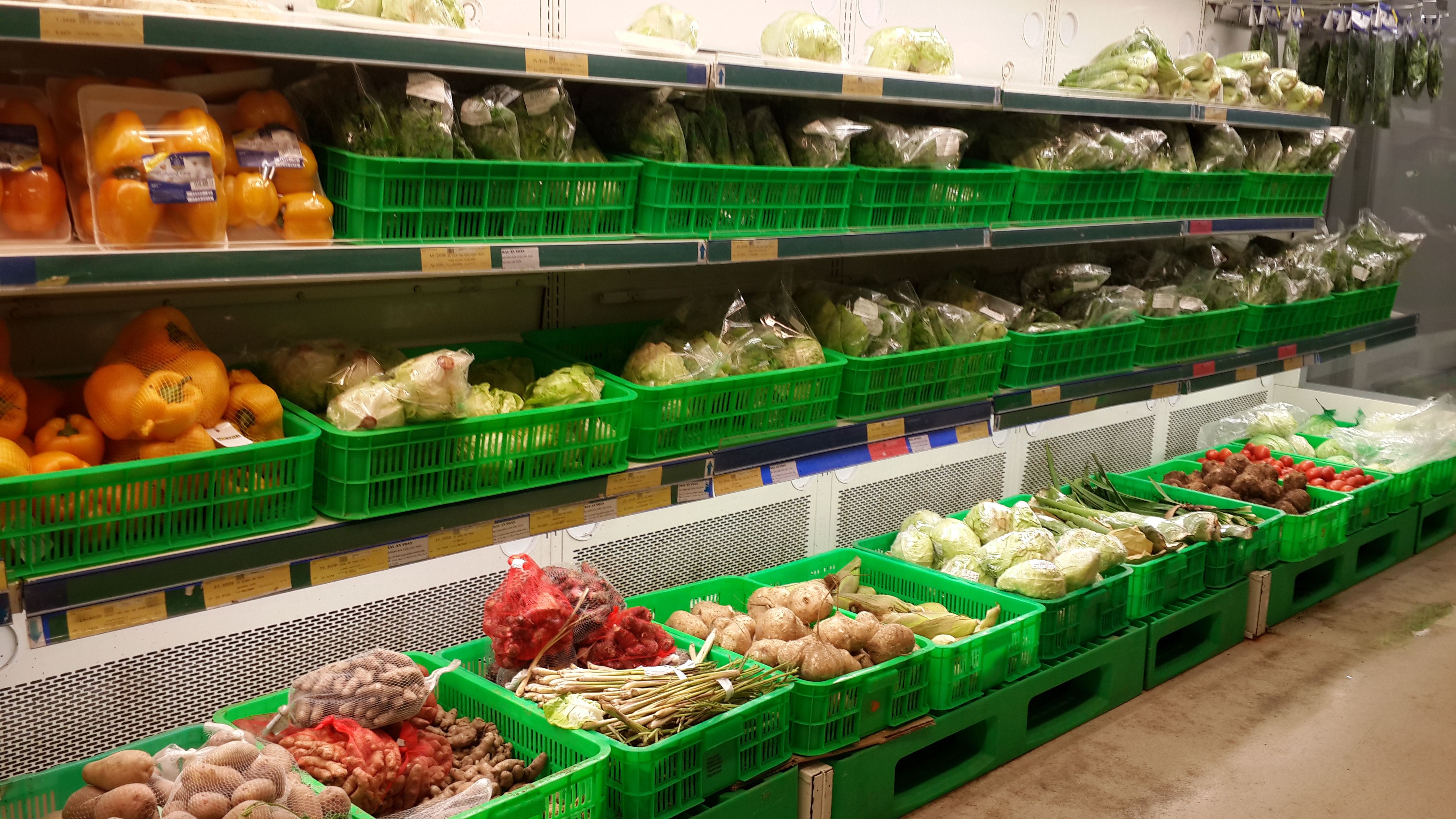 Thị trường trong nước “khát” thực phẩm sạch