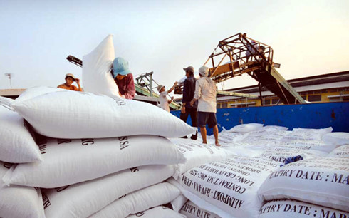 Doanh nghiệp nhập khẩu gạo của Trung Quốc đến Việt Nam giao thương