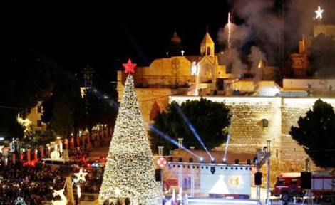 Chiêm ngưỡng cây thông Noel “đồng xu vàng” đắt nhất Châu Âu