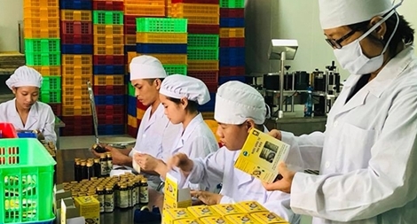 Ứng dụng công nghệ sinh học trong chế biến thuỷ, hải sản, tạo ra nhiều sản phẩm mới