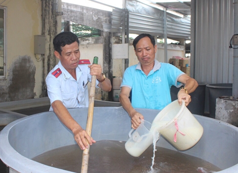 Tiêu hủy trên 570.000 con tôm giống không qua kiểm dịch